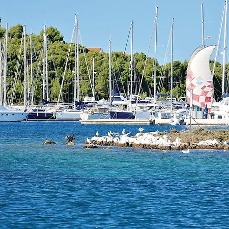 Gorgeous In With Wifi Ražanj