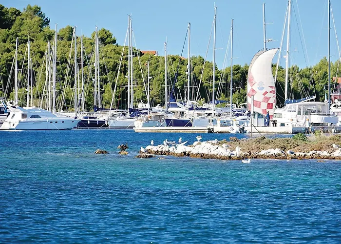 Gorgeous In With Wifi Ražanj